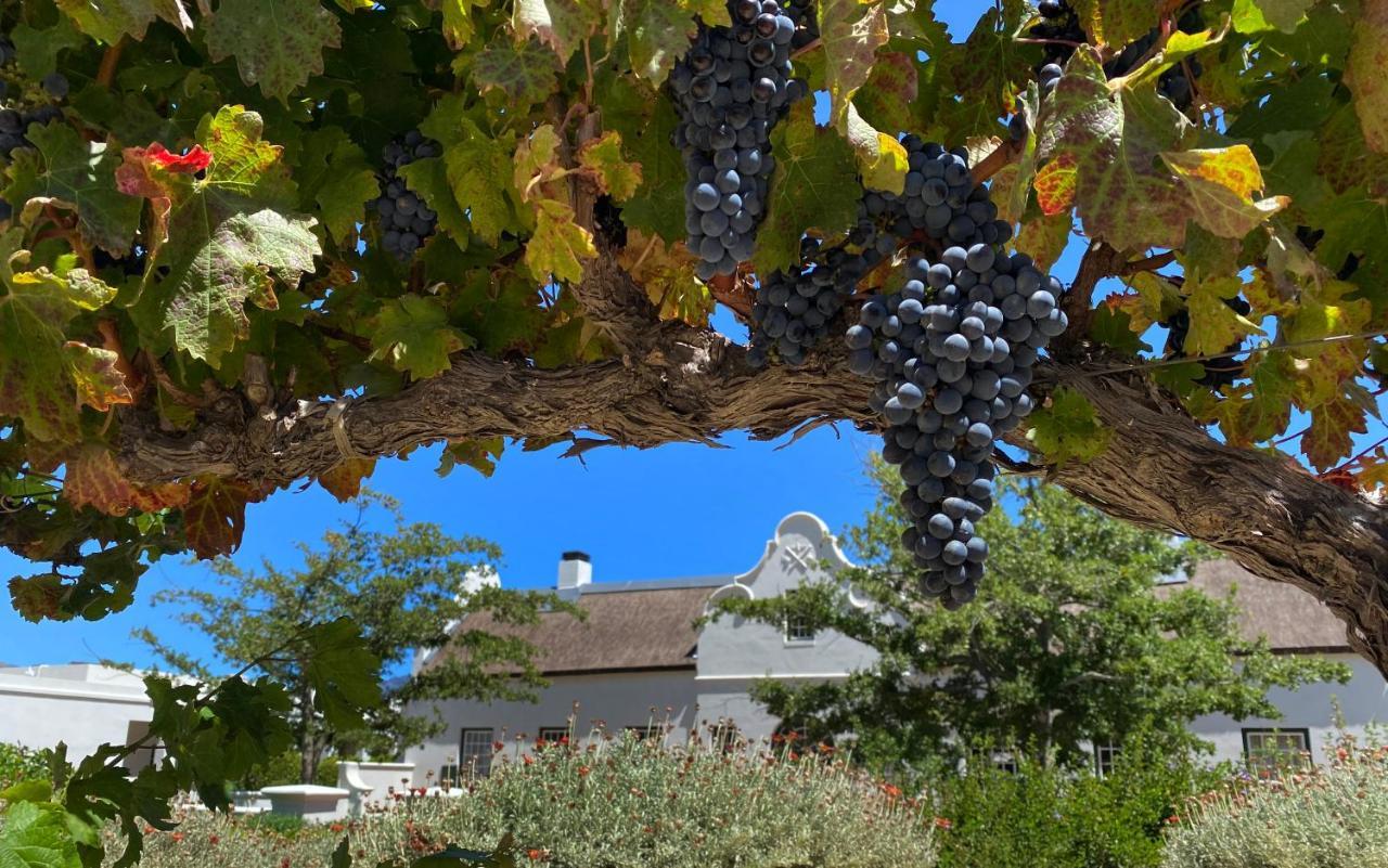 The Vineyard Cottage By L' Amitie Estate Франсхук Экстерьер фото